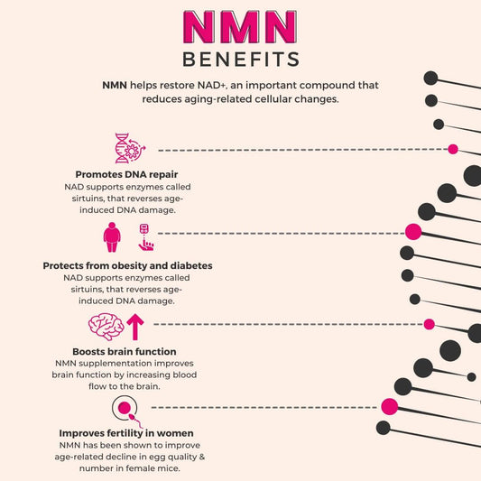 Unlocking the Power of NMN: Why Attentiv NMN with Sepismart™ SR Technology Stands Out
