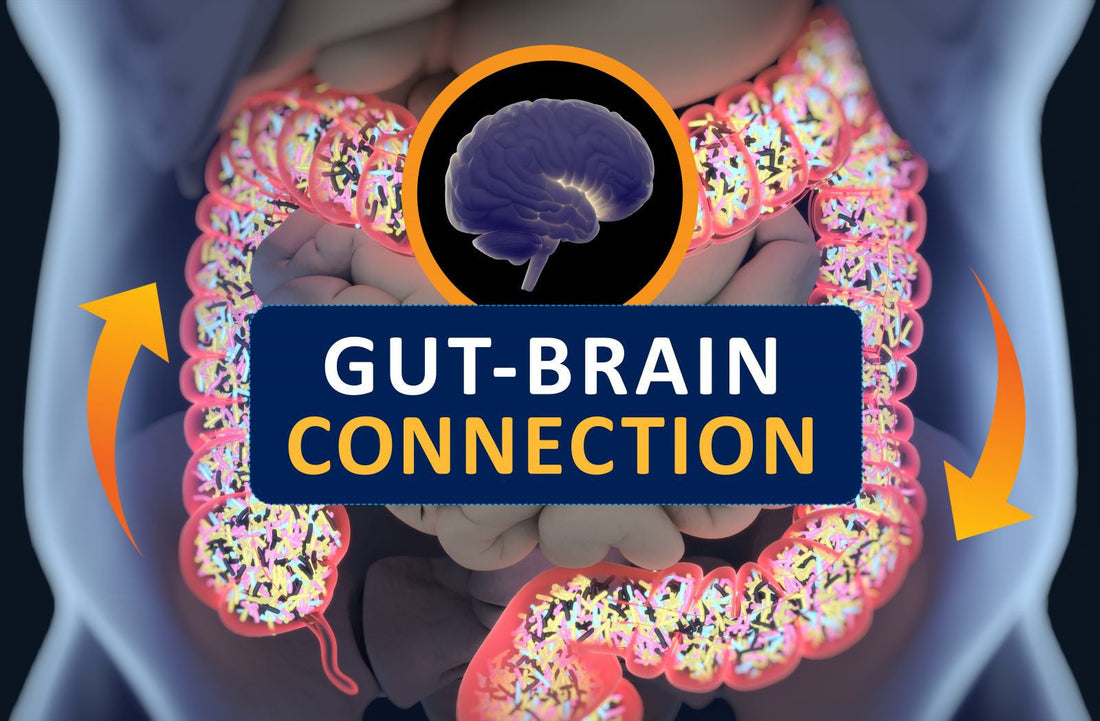 Understanding the Gut-Brain Axis: Why It’s Vital for Cognitive Health