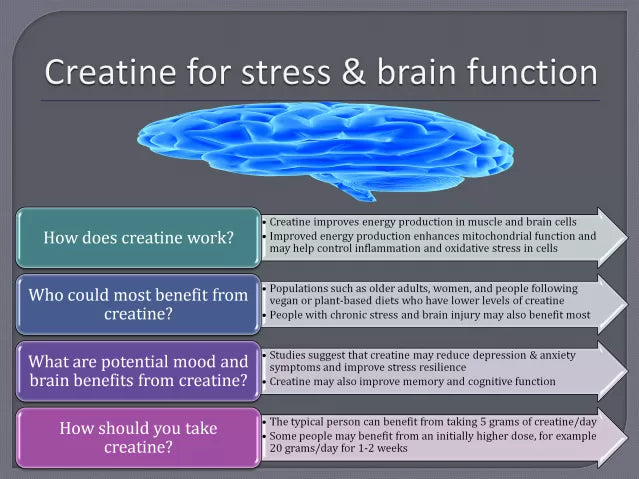 Creatine for Brain Health and ADHD: What the New Research Says