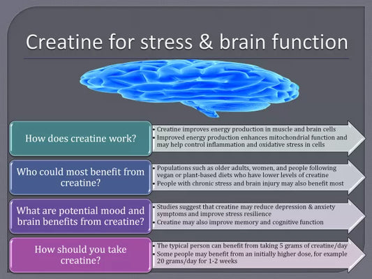 Creatine for Brain Health and ADHD: What the New Research Says